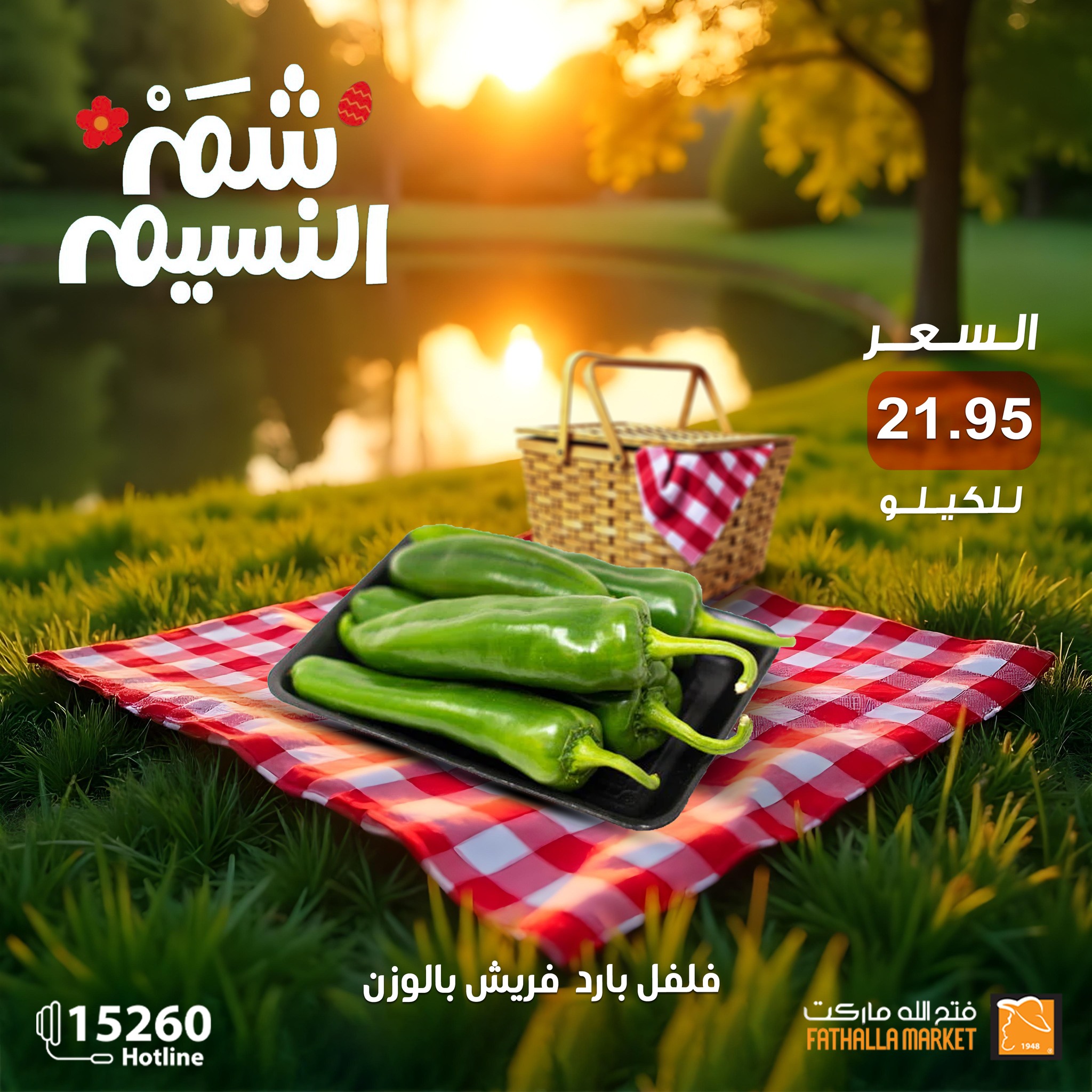 fathalla offers from 19apr to 16apr 2025 عروض فتح الله من 19 إبريل حتى 16 إبريل 2025 صفحة رقم 14